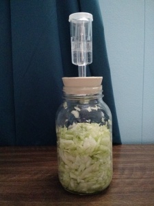 Wannabe Sauerkraut